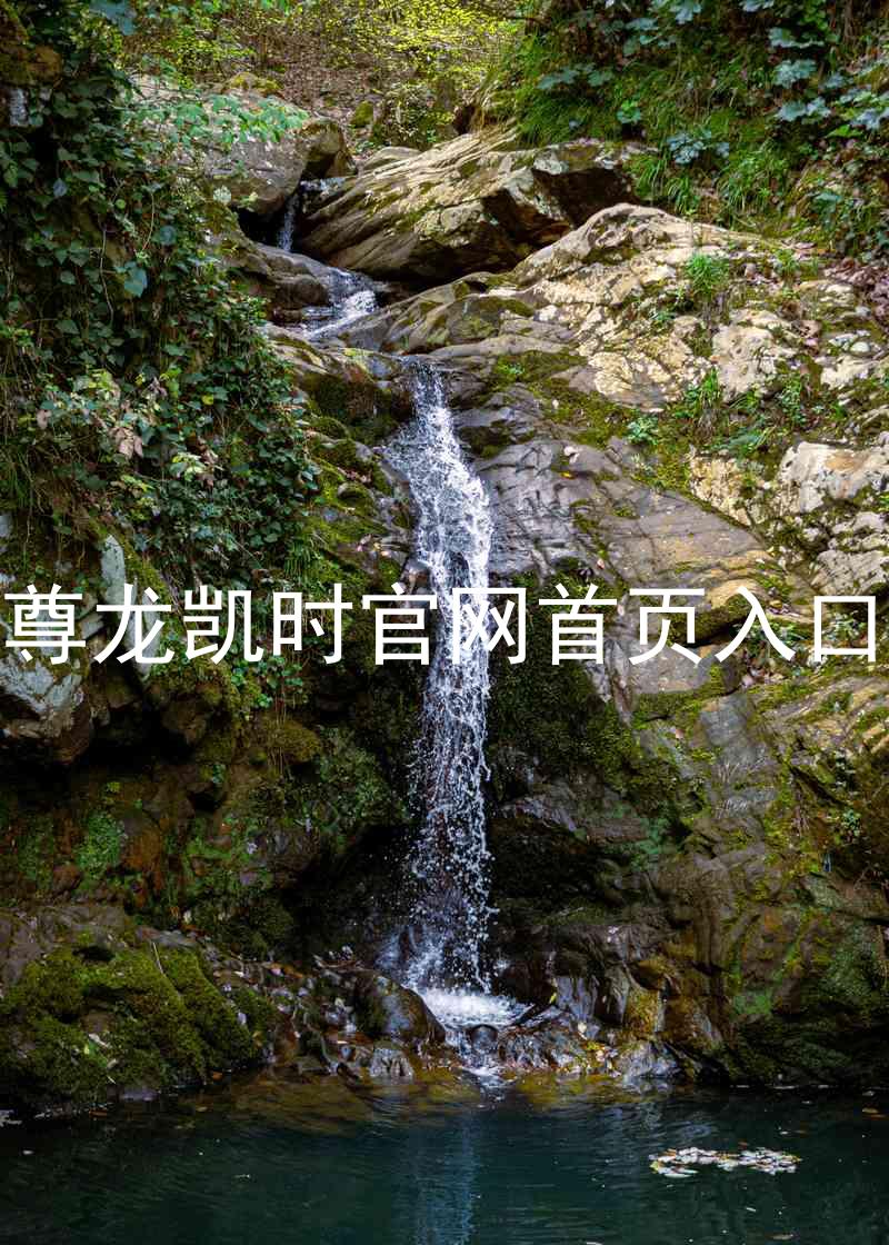 尊龙凯时官网首页入口