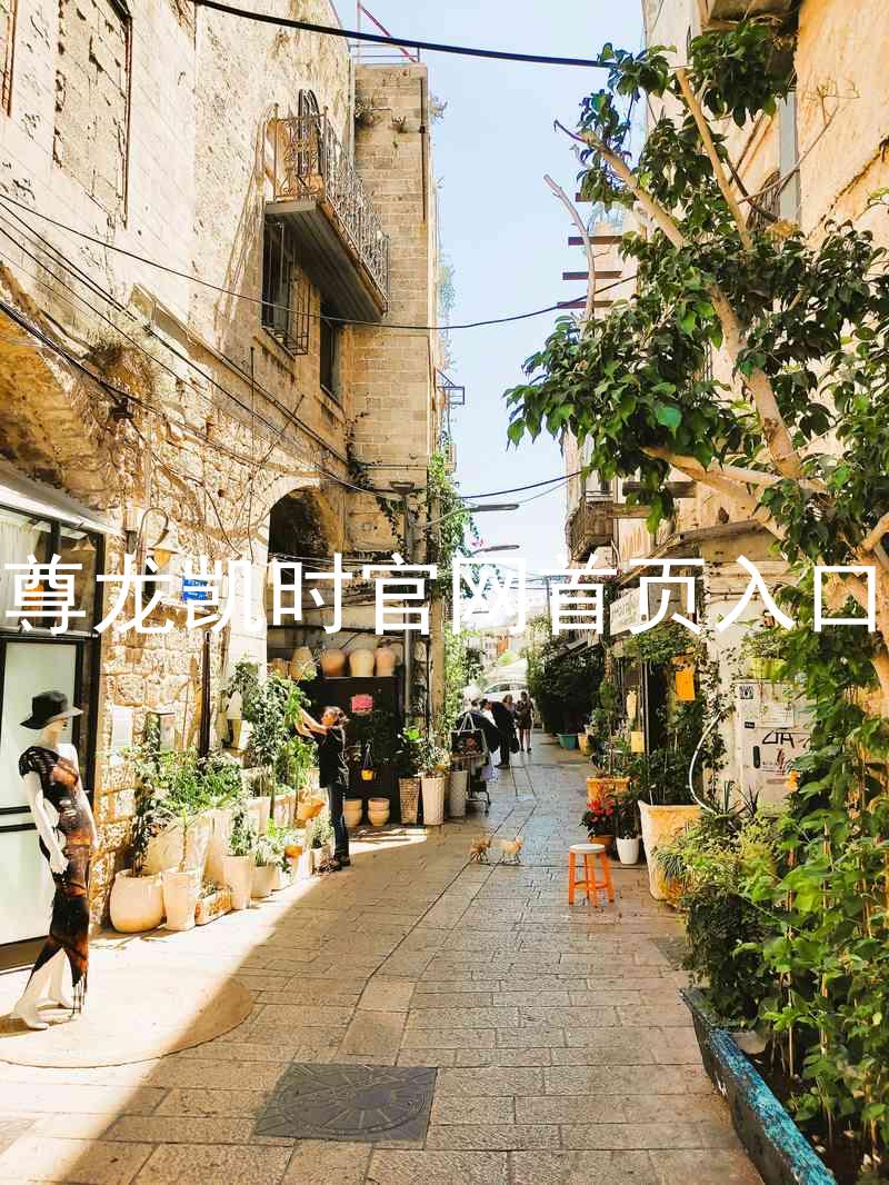 尊龙凯时官网首页入口
