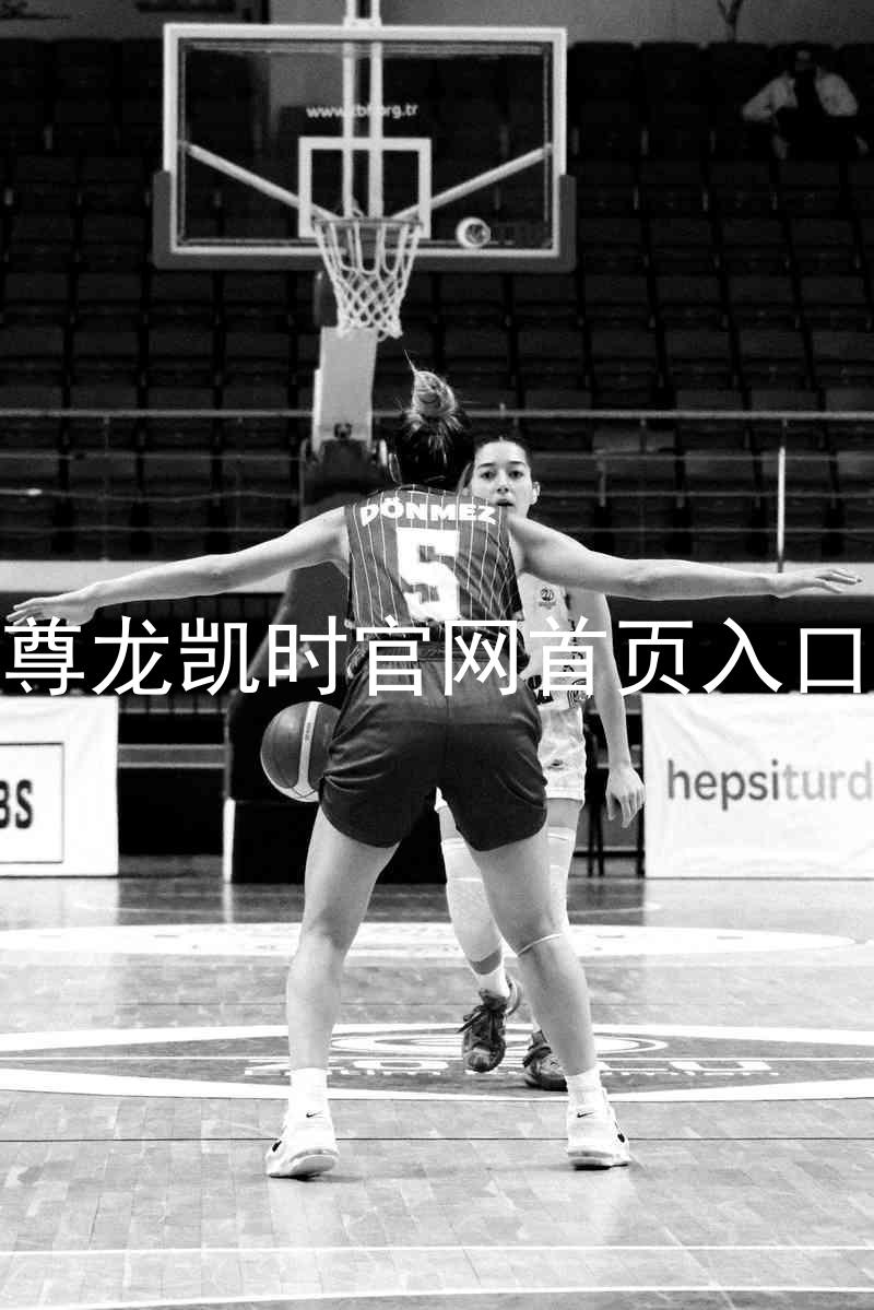 尊龙凯时官网首页入口